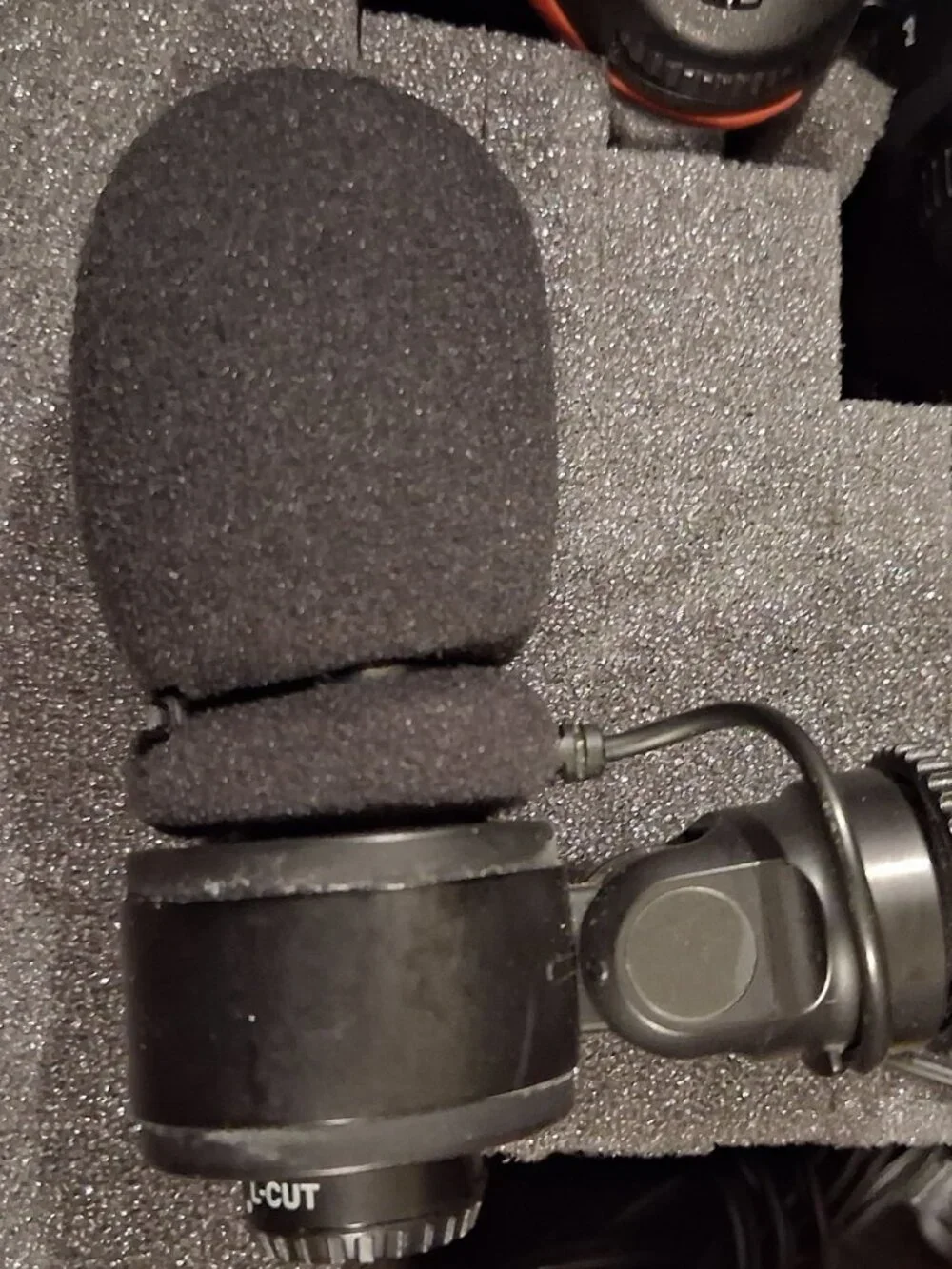 Nikon d5 20
